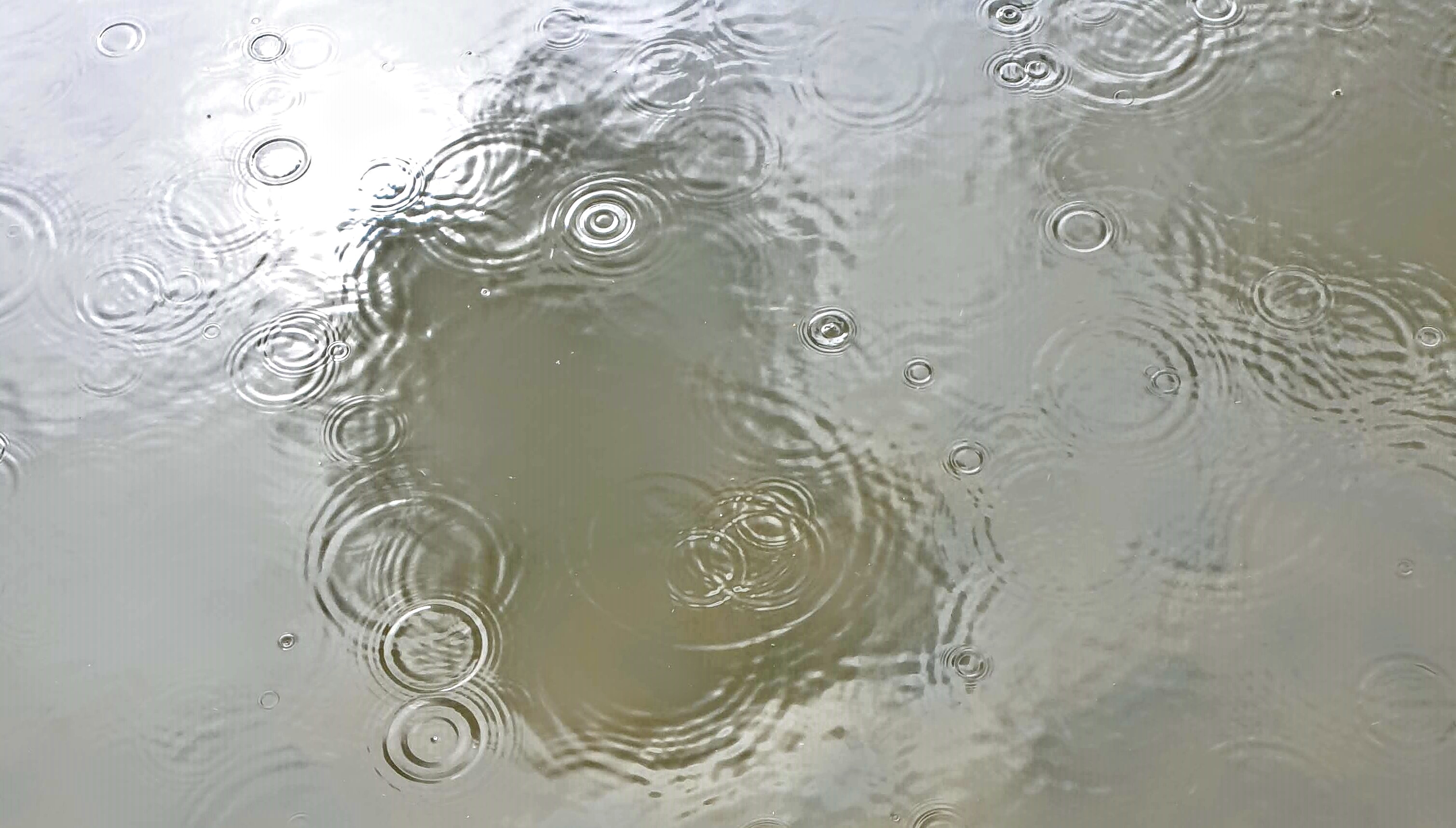 Name: Setayesh. Prize: First. When the rain drops touch the water they make waves that gradually get bigger. Rain drops hit the lake and make lots of little concentric circles in the water. Some of the circles are overlapping because the rain drops were closer together.
